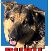 Thumbnail photo of RuRu #1