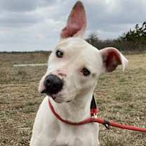 Thumbnail photo of Winki #1