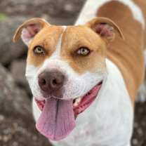 Thumbnail photo of Gucci #2