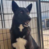 Thumbnail photo of Sabine #1