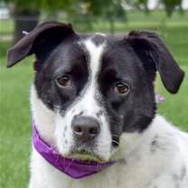 Thumbnail photo of Ella #1
