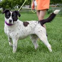 Thumbnail photo of Ella #2