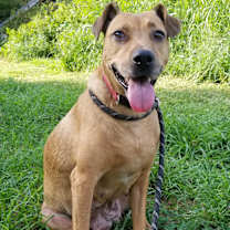 Thumbnail photo of Reba #3