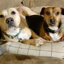 Thumbnail photo of Layla Momma Dessin #3