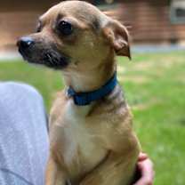 Thumbnail photo of Buster #2