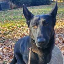 Thumbnail photo of Elijah #1