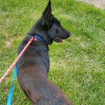 Thumbnail photo of Elijah #2