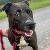 Thumbnail photo of Lita #1