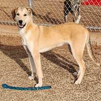 Thumbnail photo of Bobby #2