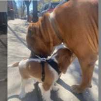 Thumbnail photo of MAX #2