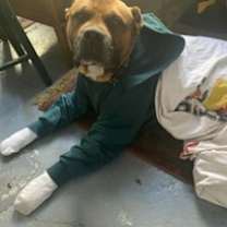 Thumbnail photo of MAX #3