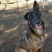 Thumbnail photo of Kendra #1