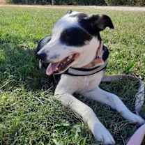 Thumbnail photo of Ada #3