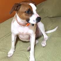 Thumbnail photo of Spencer #2