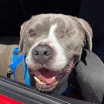 Thumbnail photo of Jasperi #3