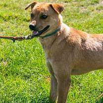 Thumbnail photo of Moe #1