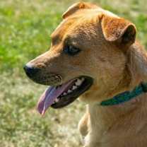 Thumbnail photo of Moe #2