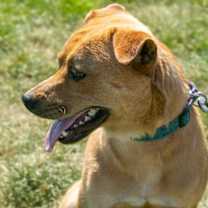 Thumbnail photo of Moe #3