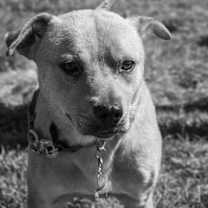 Thumbnail photo of Moe #4