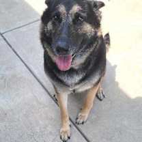 Thumbnail photo of Artemis #2