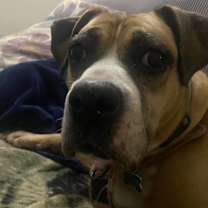 Thumbnail photo of Bridget #3