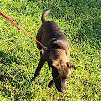 Thumbnail photo of Lisette #4