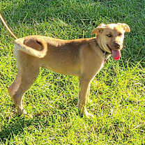 Thumbnail photo of Leah #1