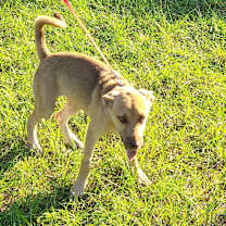 Thumbnail photo of Leah #2