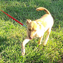 Thumbnail photo of Leah #4