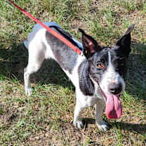 Thumbnail photo of Carlee #2