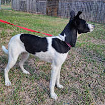 Thumbnail photo of Carlee #3