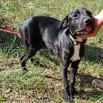 Thumbnail photo of Yanni #3