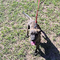 Thumbnail photo of Mandy #2
