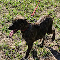 Thumbnail photo of Mandy #1