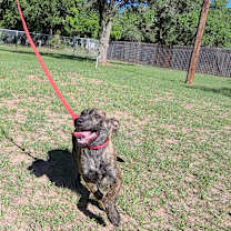 Thumbnail photo of Mandy #3