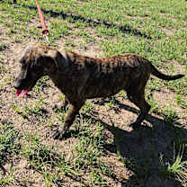 Thumbnail photo of Mandy #4