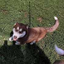 Thumbnail photo of Mario #2