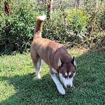 Thumbnail photo of Marco #2