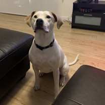 Thumbnail photo of Coca Chanel #3