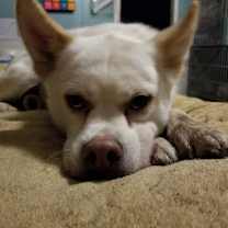 Thumbnail photo of Ghost #3