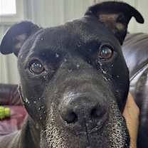 Thumbnail photo of Tiny #1