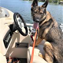 Thumbnail photo of Kenai #1