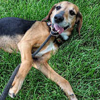 Thumbnail photo of Cletus #1