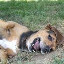 Thumbnail photo of Cletus #2