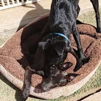 Thumbnail photo of Jasmine #3
