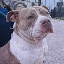 Thumbnail photo of Hazel #1