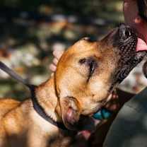 Thumbnail photo of Eedie #2