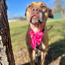 Thumbnail photo of Nile #3