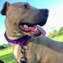 Thumbnail photo of Ricky #2