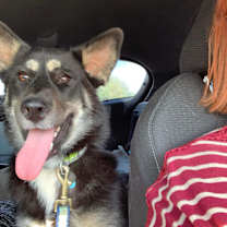 Thumbnail photo of Mattie #2